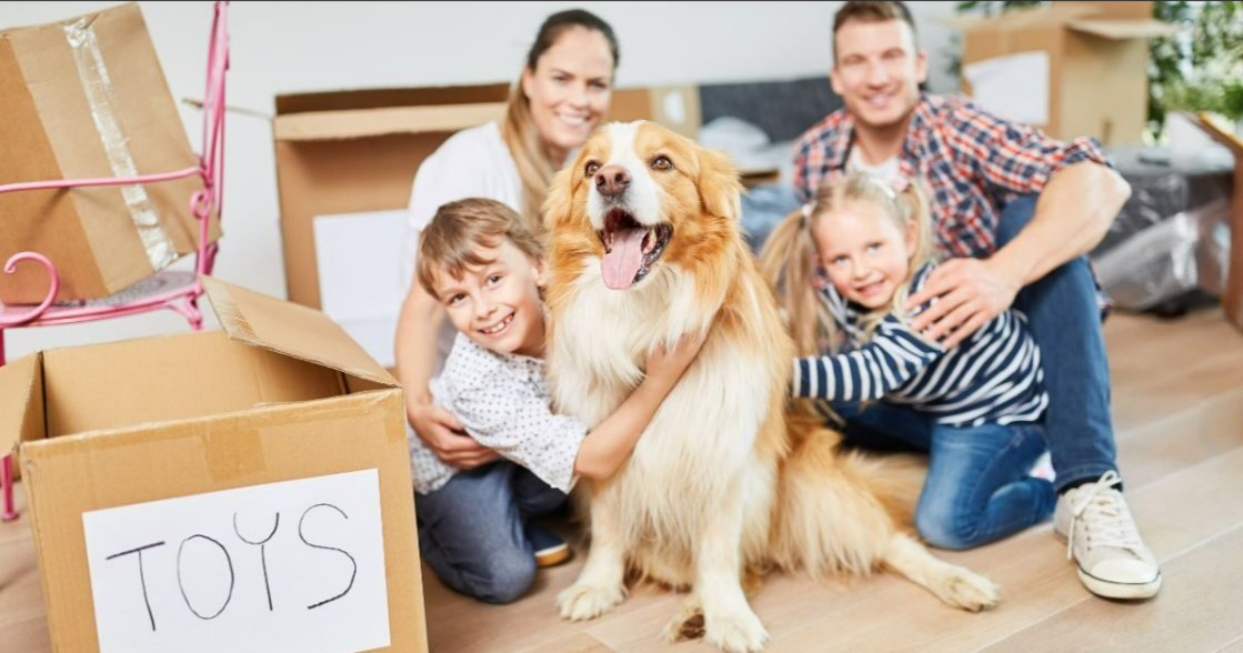 Safe Ship Moving Services Shares Essential Safety Tips for Moving with Pets